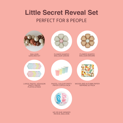 Little Secret Reveal Box